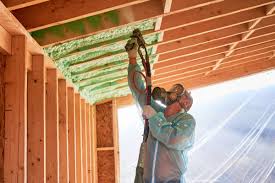 Best Eco-Friendly or Green Insulation Solutions  in Anahuac, TX