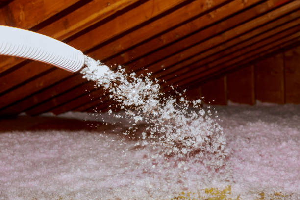 Best Attic Insulation Installation  in Anahuac, TX