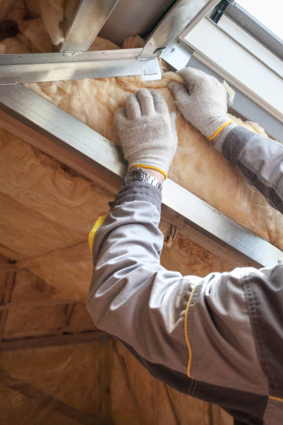 Best Garage Insulation  in Anahuac, TX