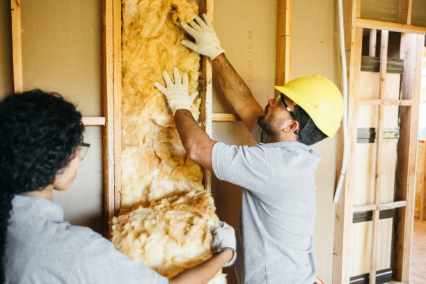 Best Blown-In Insulation  in Anahuac, TX