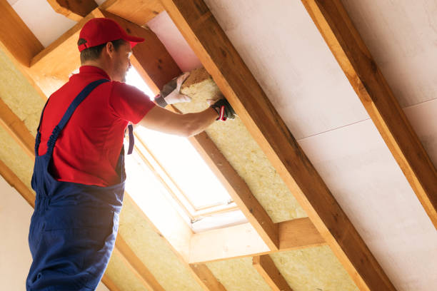 Best Basement Insulation  in Anahuac, TX